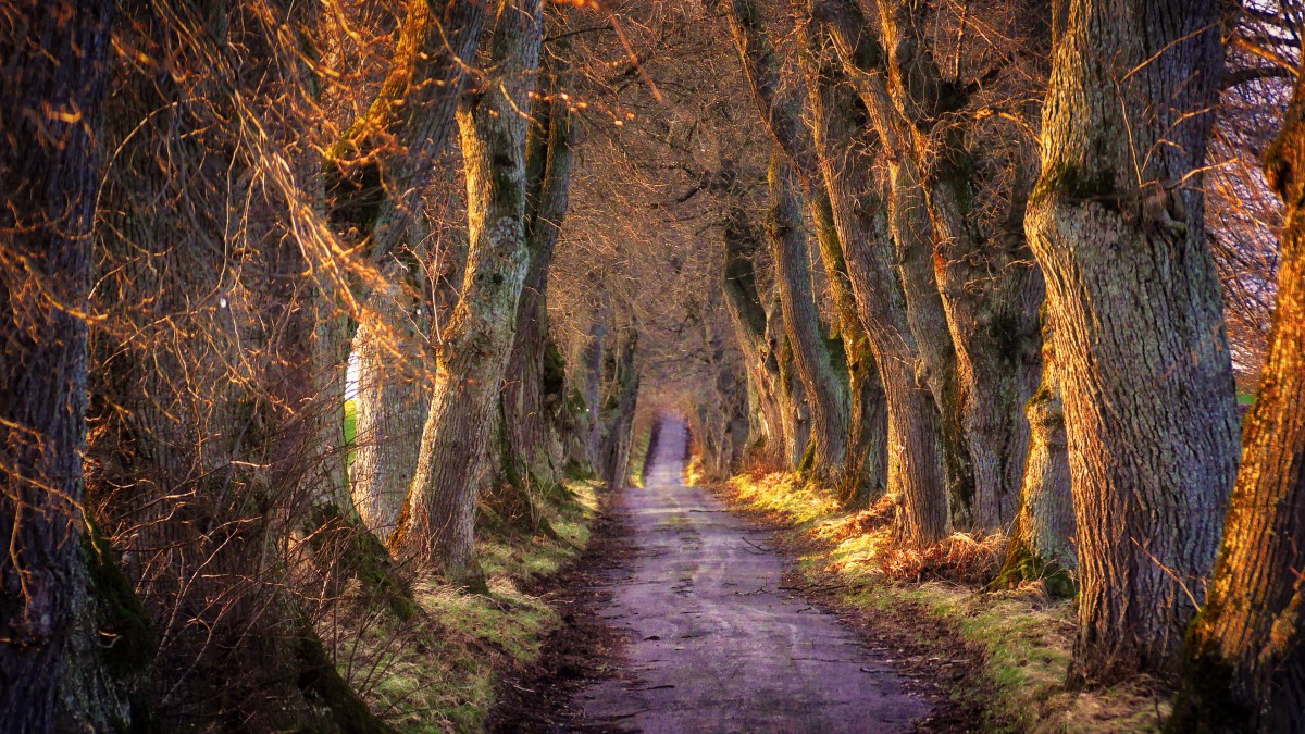 333体育|电竞-官方网站